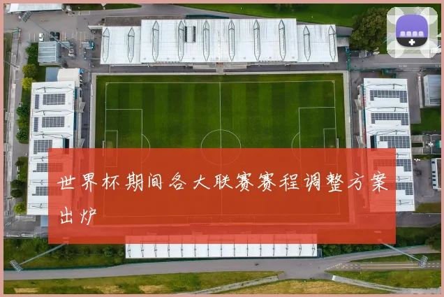 世界杯期间各大联赛赛程调整方案出炉