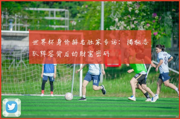 世界杯身价排名独家专访:揭秘各队阵容背后的财富密码