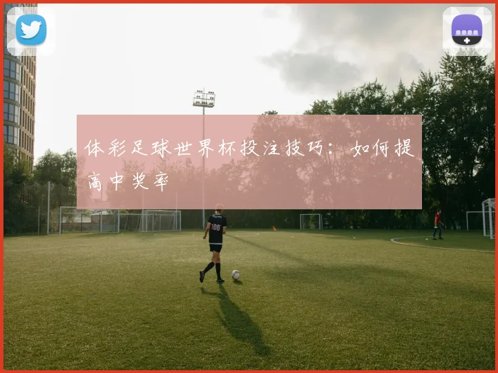 体彩足球世界杯投注技巧:如何提高中奖率