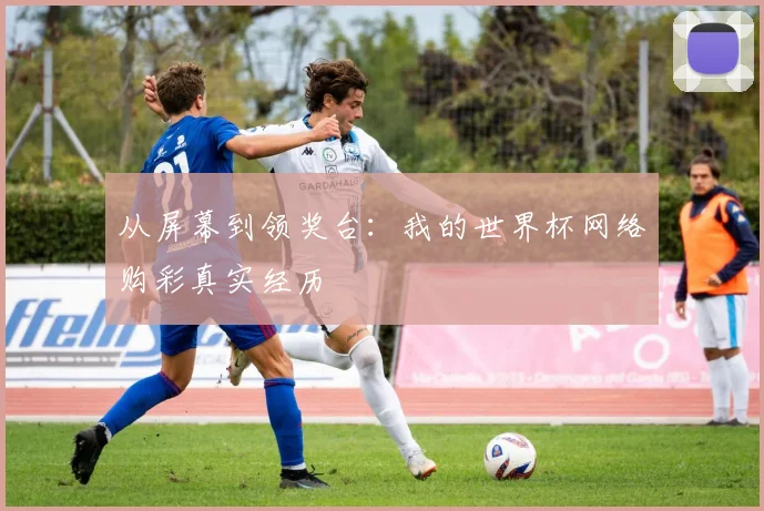 从屏幕到领奖台：我的世界杯网络购彩真实经历