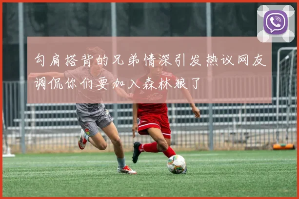 勾肩搭背的兄弟情深引发热议网友调侃你们要加入森林狼了