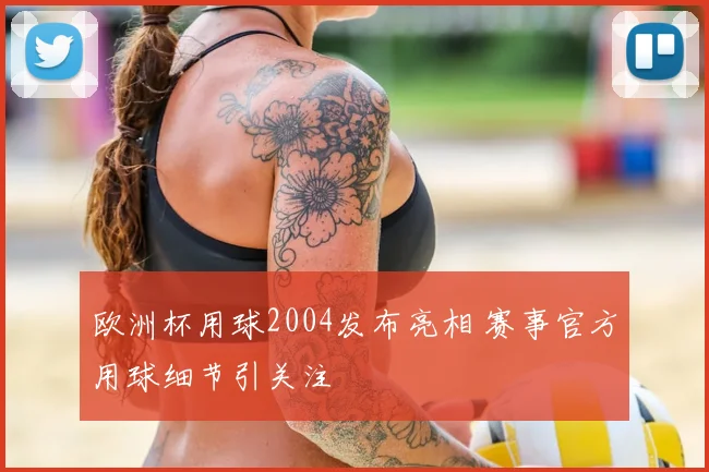 欧洲杯用球2004发布亮相 赛事官方用球细节引关注