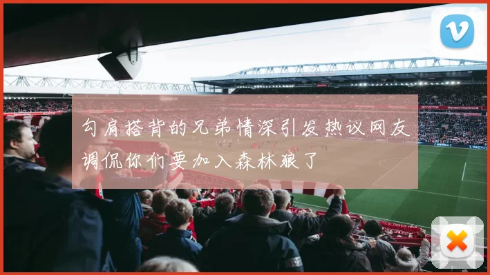 勾肩搭背的兄弟情深引发热议网友调侃你们要加入森林狼了