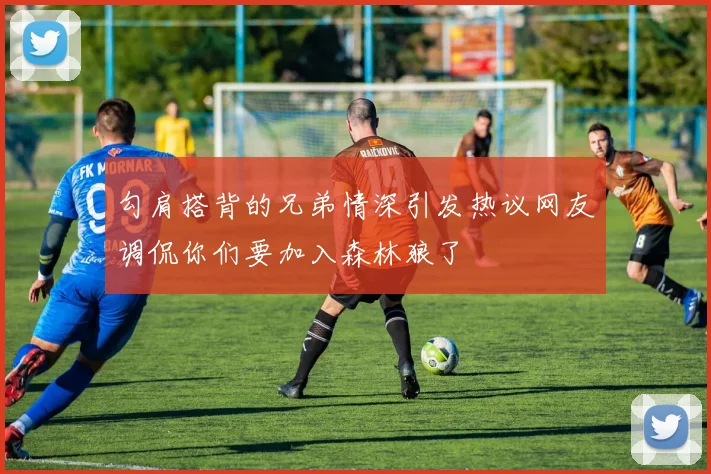 勾肩搭背的兄弟情深引发热议网友调侃你们要加入森林狼了