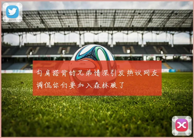 勾肩搭背的兄弟情深引发热议网友调侃你们要加入森林狼了