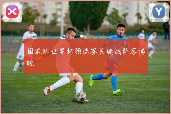 国家队世界杯预选赛关键战阵容揭晓