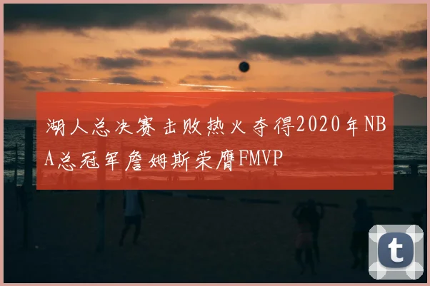 湖人总决赛击败热火夺得2020年NBA总冠军詹姆斯荣膺FMVP