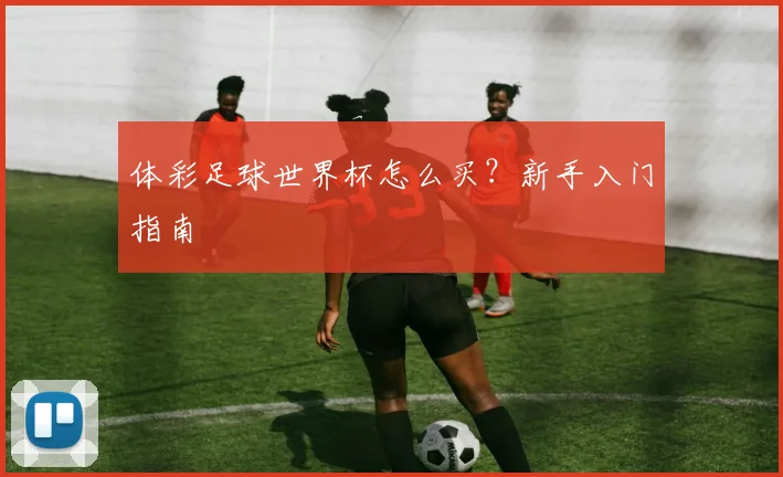 体彩足球世界杯怎么买？新手入门指南