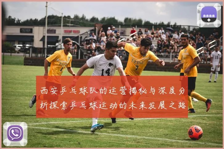 西安乒乓球队的运营揭秘与深度分析探索乒乓球运动的未来发展之路
