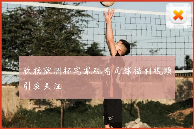 欣杨欧洲杯宅家观看足球福利视频引发关注