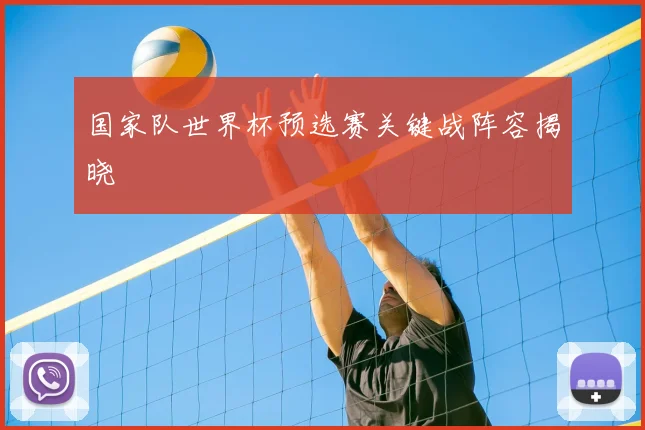 国家队世界杯预选赛关键战阵容揭晓