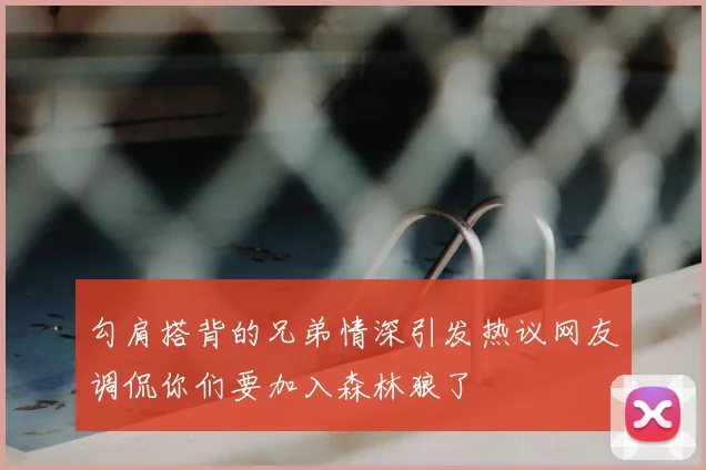 勾肩搭背的兄弟情深引发热议网友调侃你们要加入森林狼了