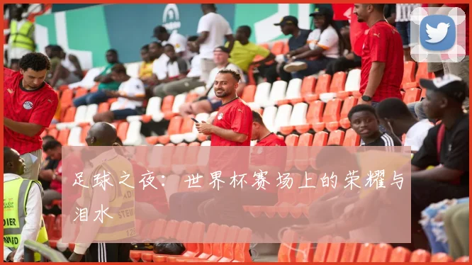 足球之夜：世界杯赛场上的荣耀与泪水